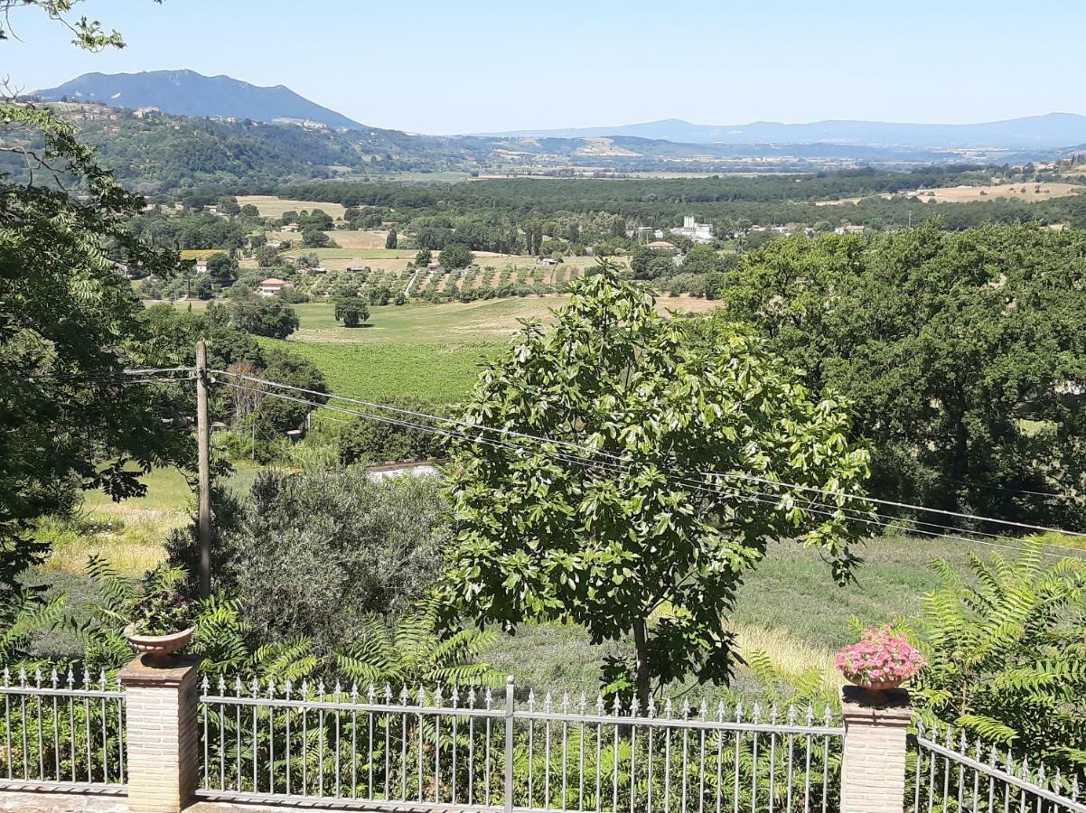 Villa Pacchini Poggio Mirteto Экстерьер фото